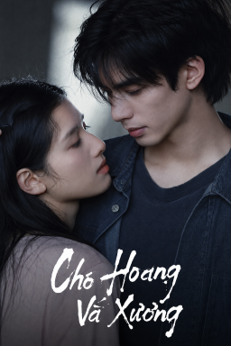Xem Phim Chó Hoang Và Xương  Vietsub HD Online